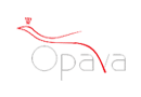 Statutární město Opava